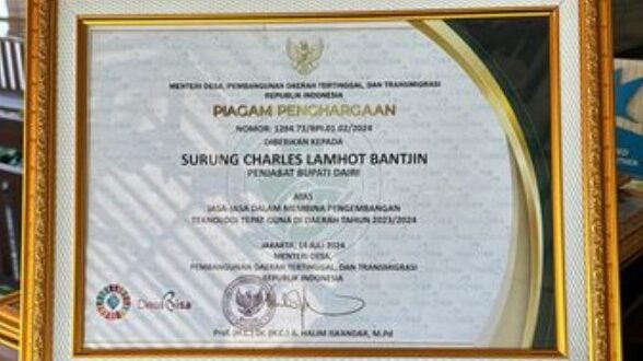 Pj Bupati Dairi Surung Charles Bantjin Terima Penghargaan dari Kemendes RI