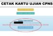 Kartu Ujian CPNS 2024 Hilang atau Rusak, Bagaimana Solusinya?