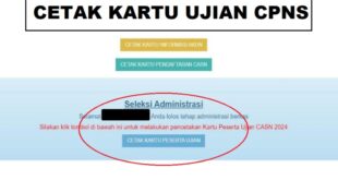 Kartu Ujian CPNS 2024 Hilang atau Rusak, Bagaimana Solusinya?